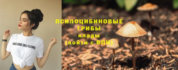дурь Верея