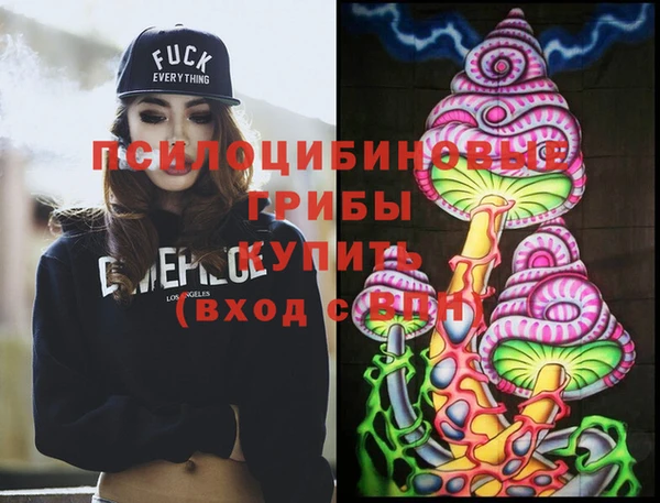 дурь Верея