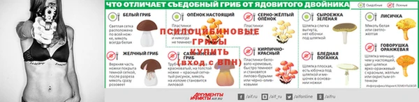 дурь Верея