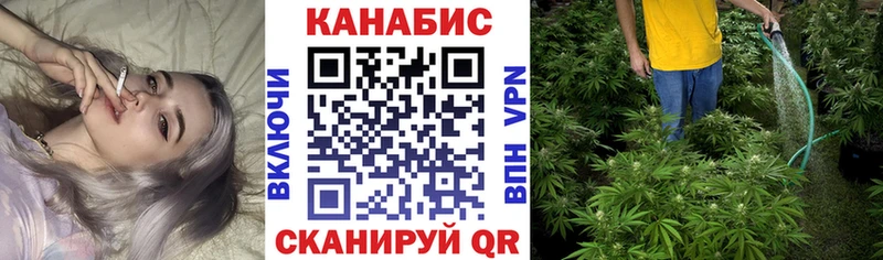 Бошки марихуана Bruce Banner  Купить где  Чудово 